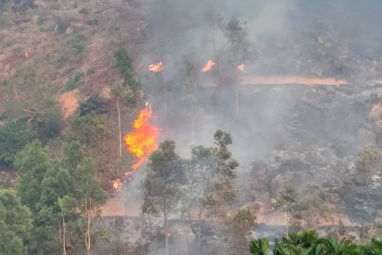 Gia Lai: Rừng tự nhiên bốc cháy ngùn ngụt giữa trưa, cả huyện đi dập lửa