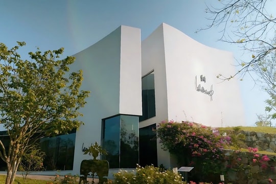 ‘Chảy Concept’ hòa quyện giữa hội họa và âm nhạc