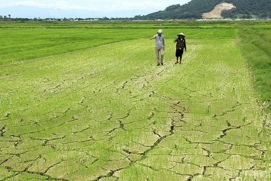 Dự báo thời tiết ngày 5/5: Thanh Hoá đến Phú Yên nắng nóng gay gắt