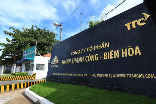 TTC AgriS (SBT) lãi 680 tỷ đồng sau 9 tháng, hoàn thành 86% kế hoạch lợi nhuận niên độ 2024-2025