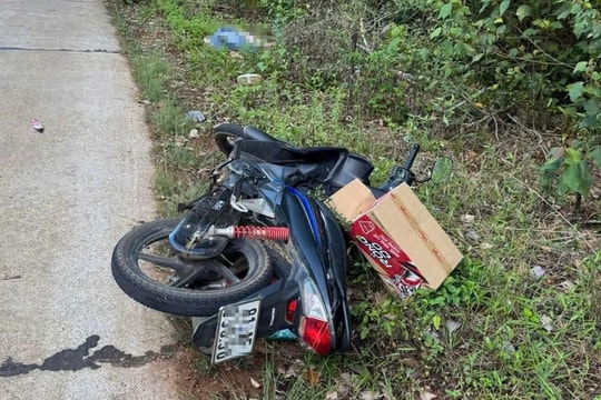 Xác định hung thủ sát hại cô giáo trẻ bên lề đường tại Gia Lai