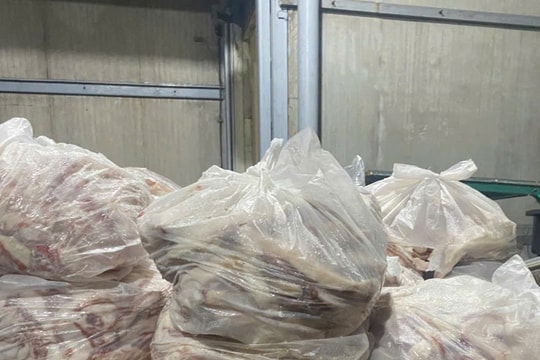 Hà Nội: Phát hiện hơn 7 tấn nội tạng không nguồn gốc