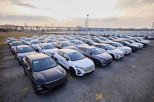 Ô tô lắp ráp trong nước và nhập khẩu ngược chiều tăng giảm