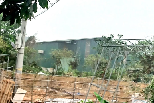 Thêm 3 Chủ tịch xã tại Hà Nội bị tạm dừng công tác để tập trung xử lý vi phạm đất đai, xây dựng