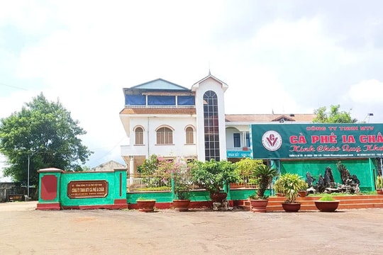 Cách hết chức vụ trong Đảng đối với giám đốc một công ty cà phê ở Gia Lai