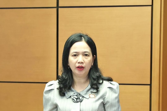 Làm rõ ranh giới giữa ‘hoạt động thanh tra’ với ‘kiểm tra chuyên ngành’ để tránh trùng lặp và bỏ sót đối tượng