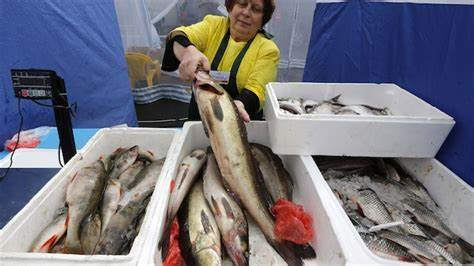 Nga cấm nhập khẩu, quá cảnh các sản phẩm cá từ một số doanh nghiệp EU từ ngày 12 tháng 5