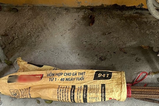 Bắc Ninh: Khởi tố đối tượng giết người và cướp tài sản đã có nhiều tiền án