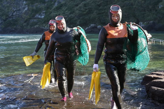 Cộng đồng nữ thợ lặn có thể đã tiến hóa để sống dưới nước ở Hàn Quốc