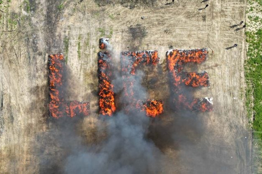 Cả thị trấn Thổ Nhĩ Kỳ phải hít cần sa bị tiêu hủy