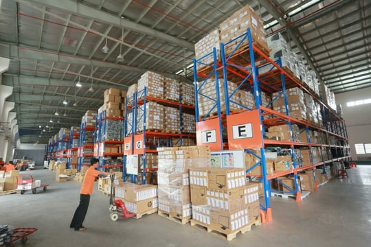 Digiworld (DGW) chi hơn 110 tỷ đồng trả cổ tức tiền mặt, đặt mục tiêu lợi nhuận 2025 tăng 18%