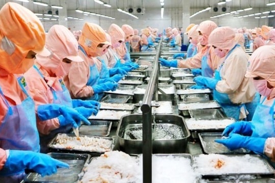 Thủy sản Minh Phú (MPC) lãi 17,68 tỷ đồng sau 2 quý thua lỗ liên tiếp