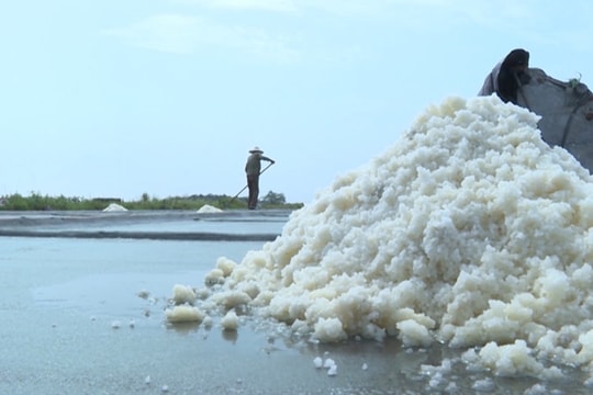 Thái Bình: Nghề làm muối xã Thụy Hải là di sản văn hóa phi vật thể quốc gia