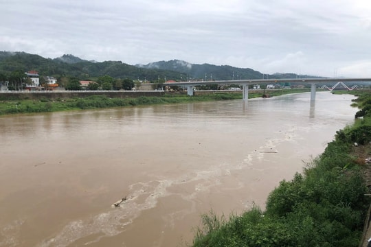 Lào Cai: Đột ngột mưa lớn, lũ lớn sông Hồng đang đổ về