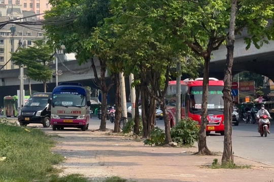 Hà Nội: Xe khách lại ‘lộng hành’, dừng đỗ tùy tiện, lập bến cóc trên vỉa hè, lòng đường