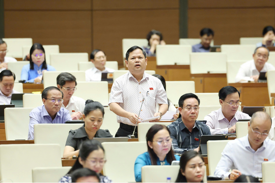 Cần tạo điều kiện cho kinh tế tư nhân phát triển, góp phần nâng cao hiệu quả sử dụng nguồn lực quốc gia