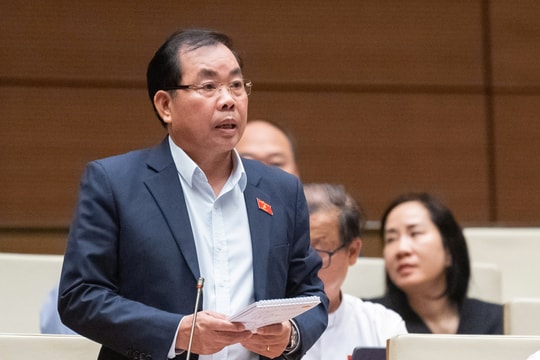 Đại biểu Quốc hội kiến nghị quy định HĐND giới thiệu, chứ không bầu Chủ tịch UBND