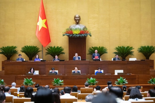 Ngày 15/5, Quốc hội nghe Tờ trình về dự án Luật Xử lý vi phạm hành chính (sửa đổi)