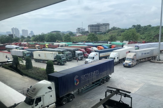 Ưu tiên xuất khẩu vải thiều sang Trung Quốc qua Cửa khẩu Kim Thành (Lào Cai) từ sáng sớm