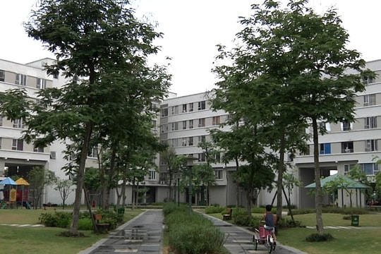 Đồng Nai chấn chỉnh sai phạm trong quản lý, sử dụng nhà ở xã hội