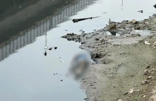 Phát hiện thi thể nam giới trên sông Tô Lịch