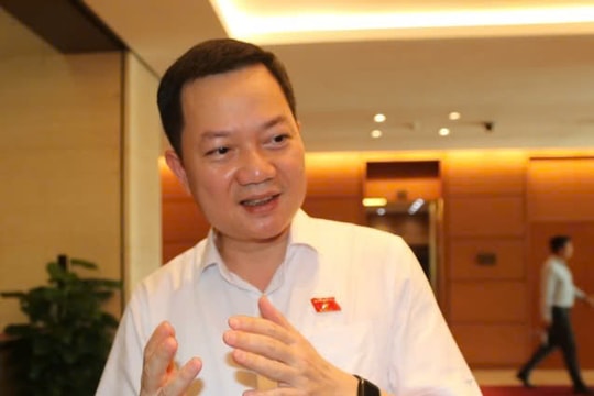 Tăng cường giám sát và phải làm rõ ràng trách nhiệm trong các vụ ‘hàng giả’