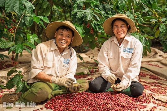 Báo Đắk Lắk với việc tuyên truyền thúc đẩy chuyển đổi xanh trong nông nghiệp gắn với bảo vệ môi trường