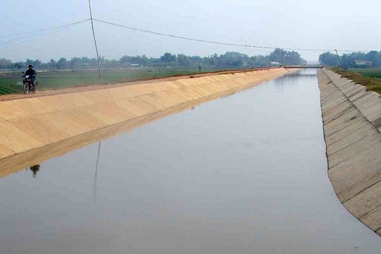 Đầu năm 2025, Thanh tra Bộ Nông nghiệp và Môi trường phát hiện vi phạm về kinh tế số tiền gần 12 tỷ đồng