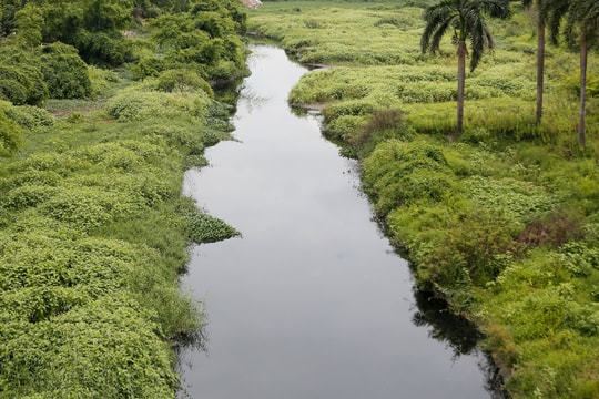 Dòng sông Đáy: Từ dòng sông thơ mộng đến nỗi đau hiện thực