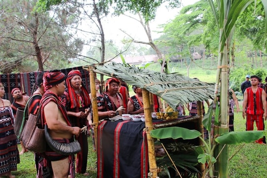 Đặc sắc lễ hội cúng thần núi, cúng thần rừng của người Cơ Tu
