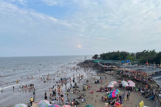 Thái Bình nghiên cứu lấn biển để phát triển công nghiệp, xây dựng sân bay, cảng biển