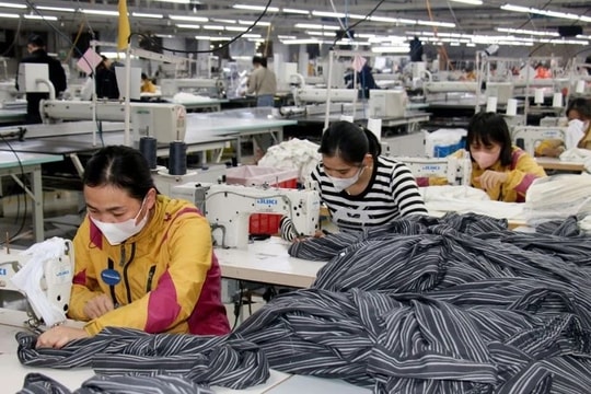 Chính phủ ban hành Kế hoạch hành động về phát triển kinh tế tư nhân