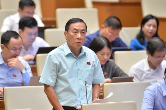 Kiến nghị trường hợp vi phạm pháp luật về thuế sẽ bị cấm thành lập và quản lý doanh nghiệp