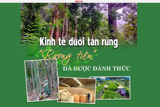 Hiệu quả từ phát triển báo chí đa phương tiện trong nhiệm vụ tuyên truyền chuyển đổi xanh