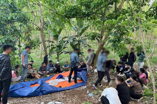 Triệt phá sòng bạc trong rừng với nhiều đối tượng tiền án tại Nghệ An