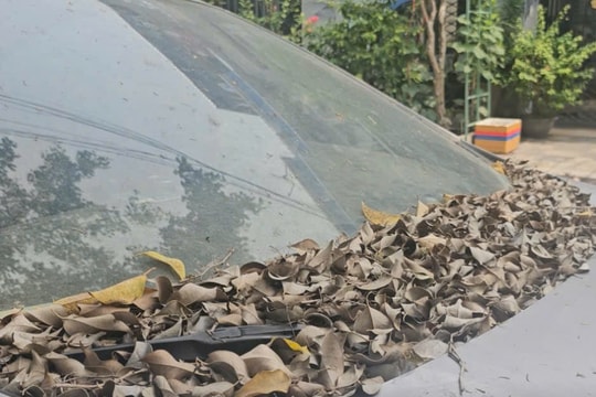 Công an tìm chủ nhân xe ô tô đậu hơn 1 năm trước nhà dân