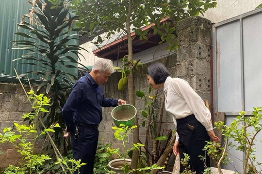 Dịch sốt xuất huyết diễn biến phức tạp tại Hà Nội