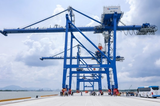 Cảng Phước An bị xử phạt hơn 327 triệu đồng: Lộ loạt giao dịch nội bộ chưa thông qua HĐQT