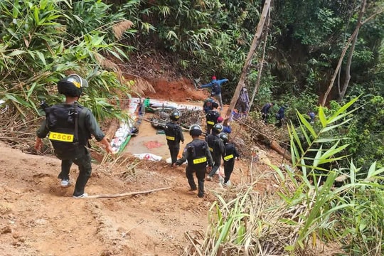 Công an Gia Lai đột kích bãi vàng nằm sâu trong rừng phòng hộ