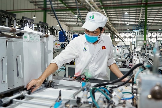 Tăng trưởng toàn ngành nhựa, vì sao nhóm An Phát Holdings vẫn lao dốc?