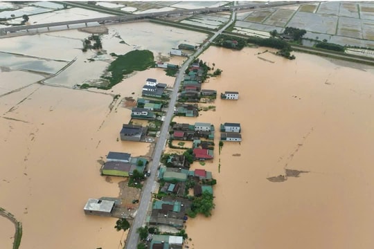 Nước lũ dâng cao ở Hà Tĩnh: Hơn 2.000 tấn lúa ướt, gia cầm trắng chuồng