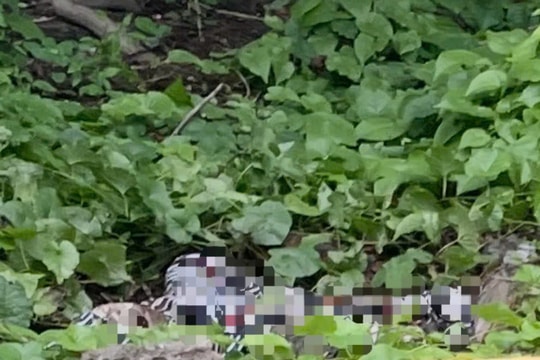 Thi thể phân hủy nặng, chỉ còn bộ xương ở nghĩa trang