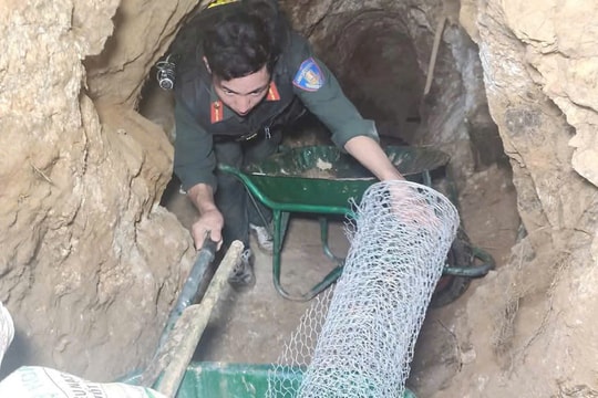 Vụ vàng tặc mở 'địa đạo' trong rừng ở Gia Lai: UBND huyện báo cáo gì?