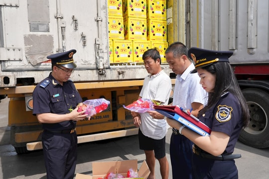 Hải quan ngăn chặn nhiều lô hàng gian lận xuất xứ, vi phạm pháp luật về dán nhãn hàng hóa