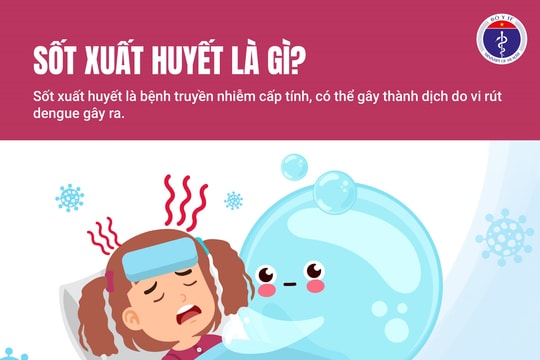 Tăng cường các biện pháp phòng, chống sốt xuất huyết