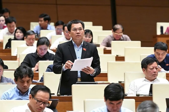 Đại biểu Quốc hội ủng hộ việc mở rộng quy định người Việt Nam có hai quốc tịch