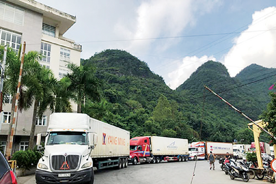 Ưu tiên thông quan mặt hàng nông lâm thủy sản, đặc biệt là sầu riêng