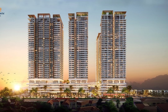 Lý do căn hộ cao cấp mặt biển trở thành lựa chọn ưu tiên của giới tinh hoa