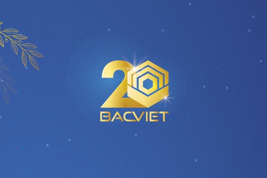 Group Bắc Việt - Công ty của Shark Vương bị xử phạt 365 triệu đồng vì loạt giao dịch nội bộ sai quy định