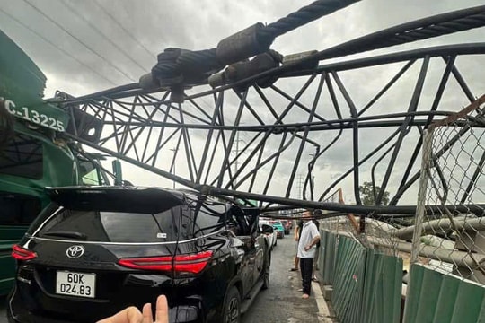 Container, xe ô tô bị cần cẩu công trình đè hư hỏng ở TP HCM